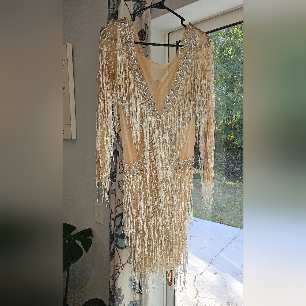 Unique Rare Size Large Ice Me Out Bling Birthday Silver Rhinestone Fringe Dress - Picture 10 of 11